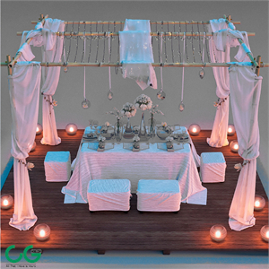 Beach canopy